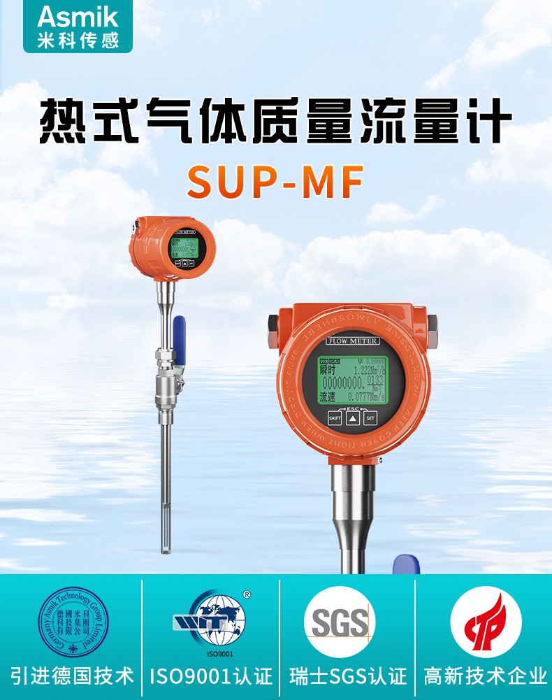 熱式氣體質(zhì)量流量計(jì)